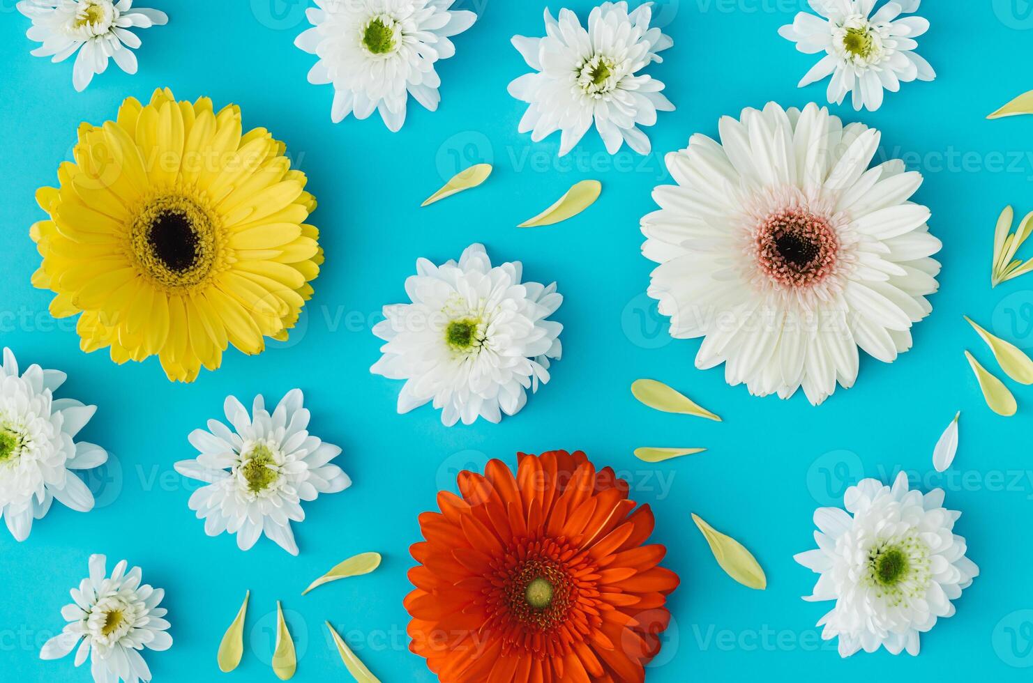 Trendy floral spring and summer pattern made of colorful flowers on light blue background. Creative flowers aesthetic backdrop concept. Nature flat lay style. Top view wallpaper. photo