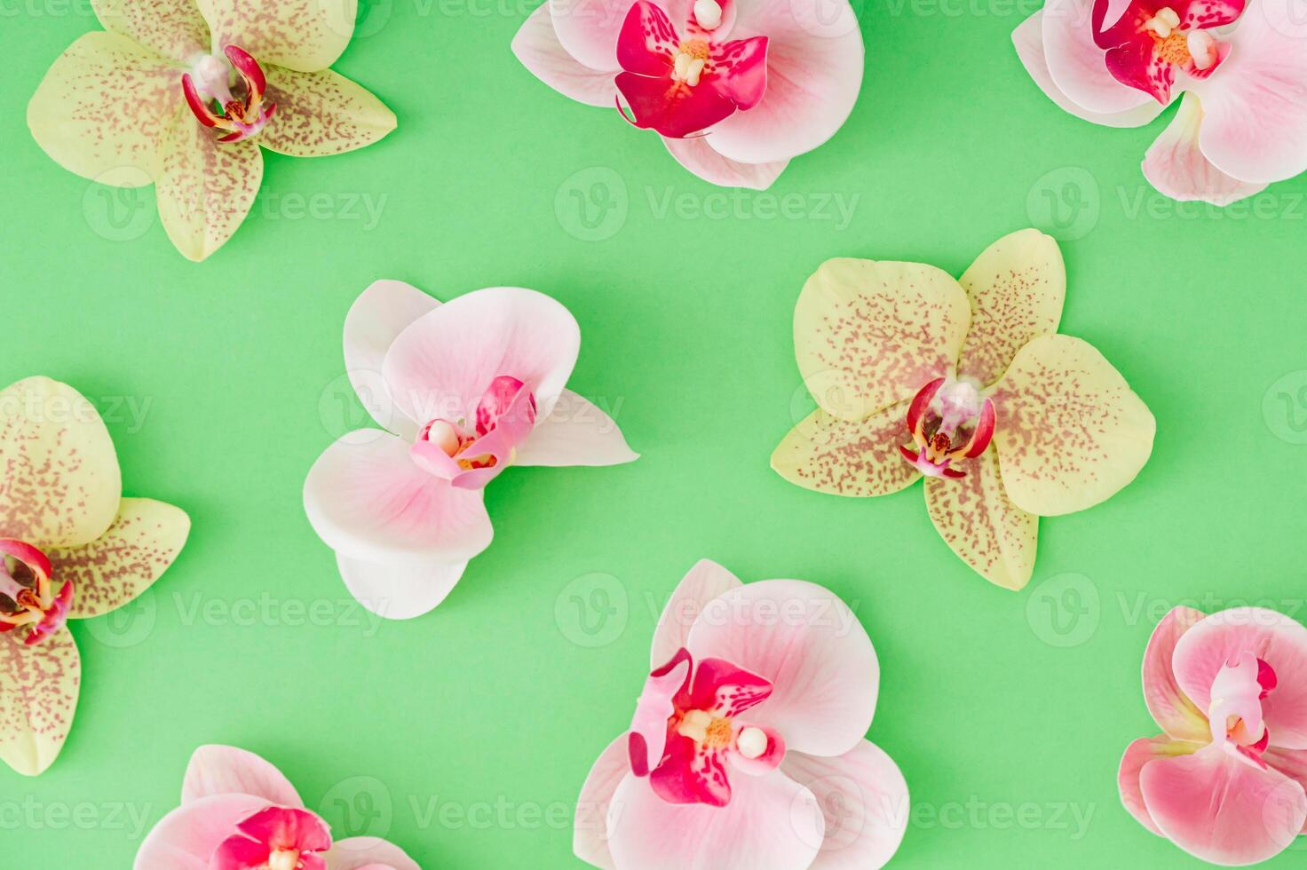 Trendy floral pattern made of beautiful orchid flowers on pastel green background. Minimal creative spring and summer concept. Colorful flowers aesthetic wallpaper. Nature flat lay backdrop. Top view. photo