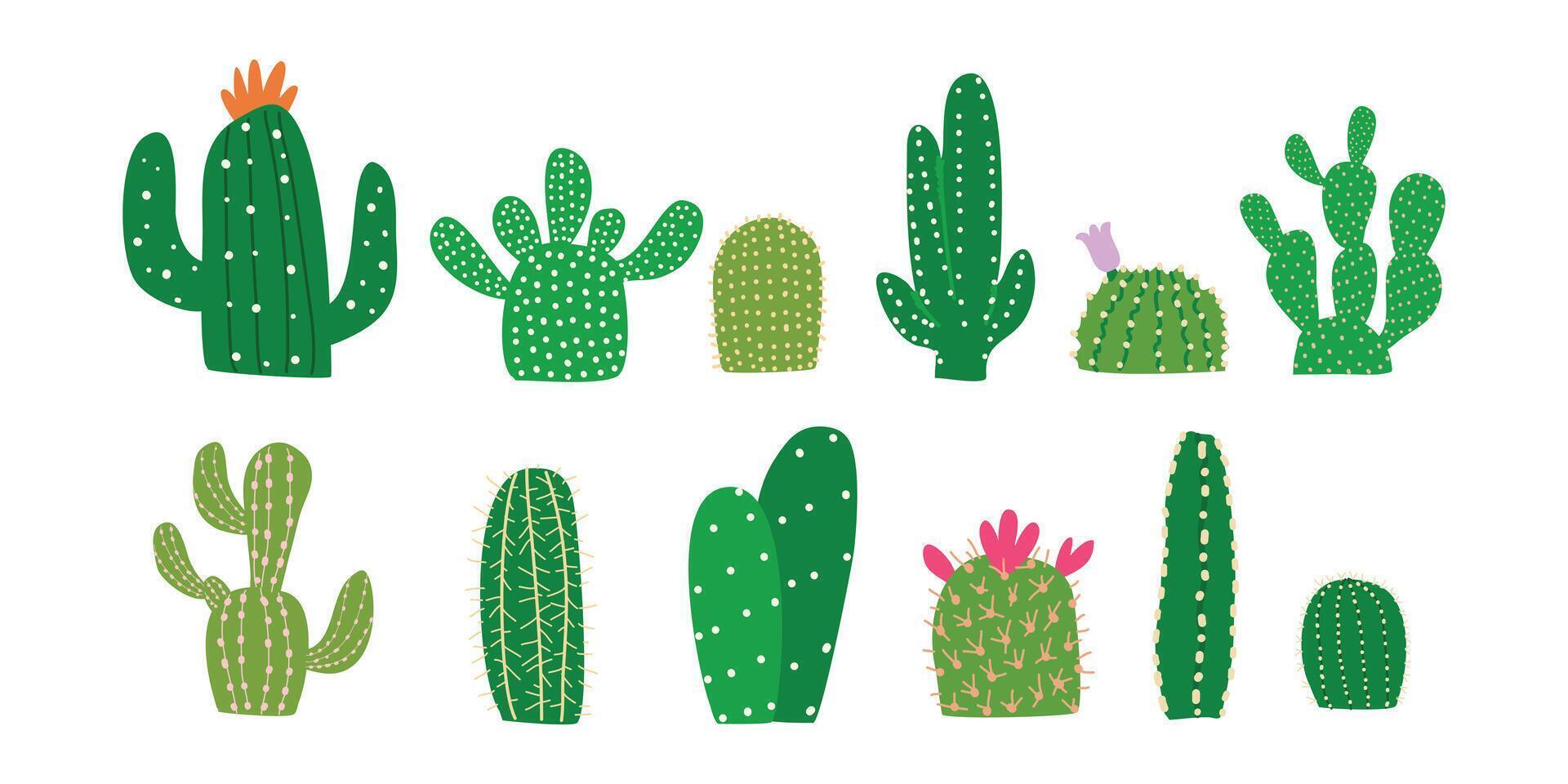 Cactus Cactuses Cacti in Hand-drawn style set vector