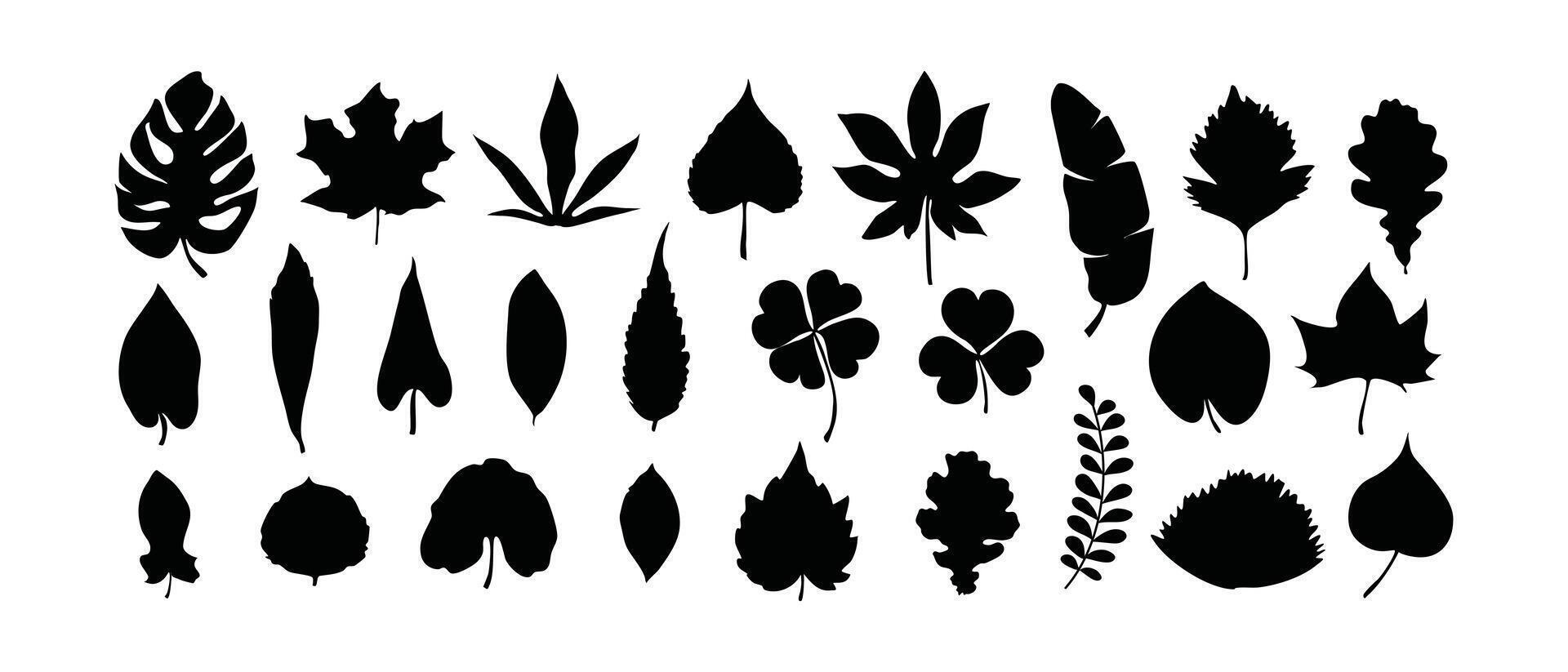 Set of Leaf silhouette vector