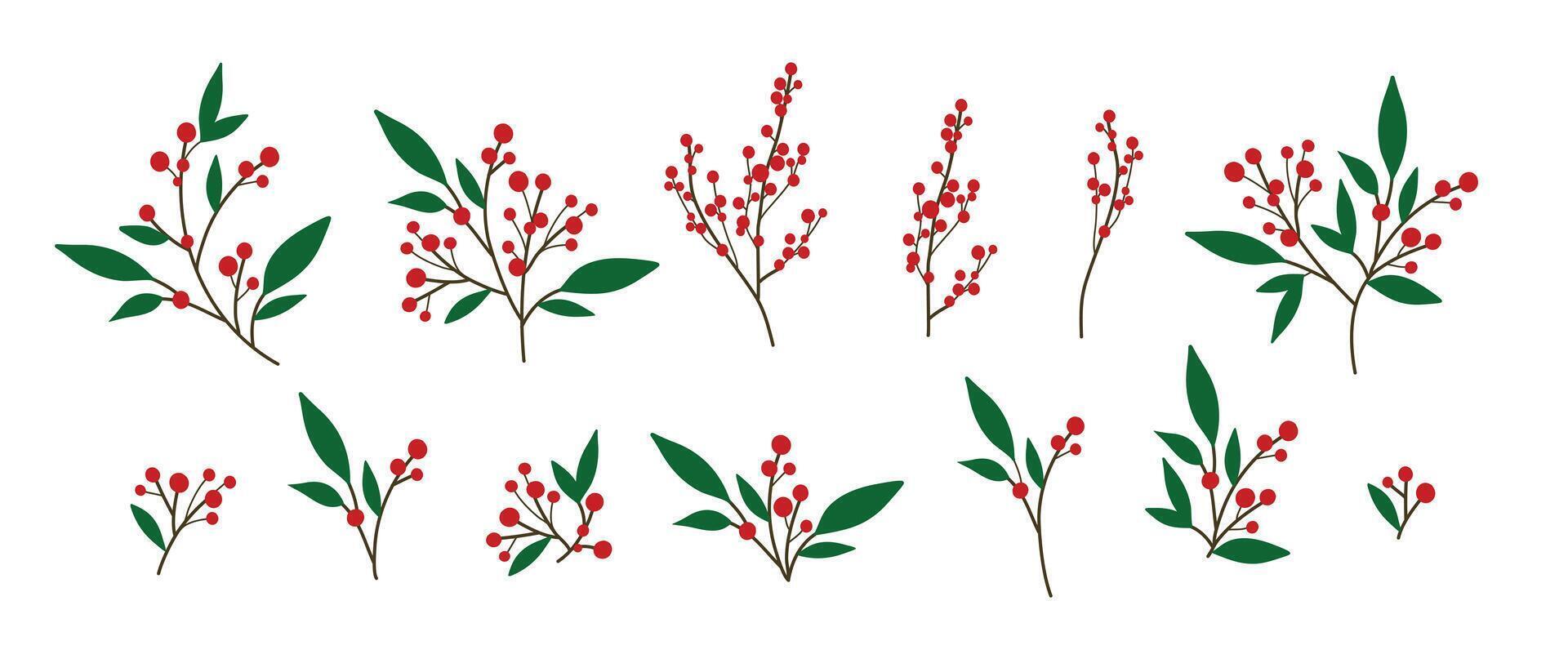 Red Berry spray, Christmas tree branch Decoration, Xmas holiday decoration vector