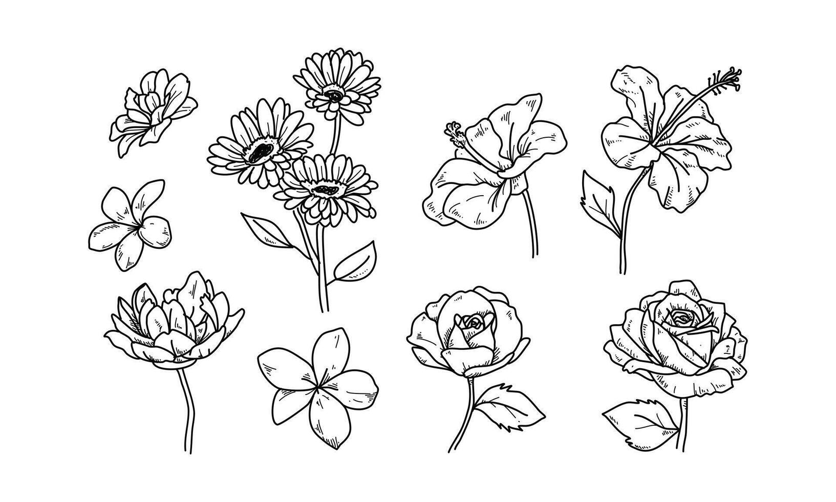Floral Sketch line style elements set, Hand drawn floral in silhouette style vector