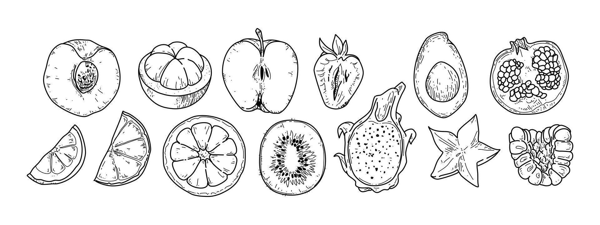 A drawing of various fruits and vegetables vector