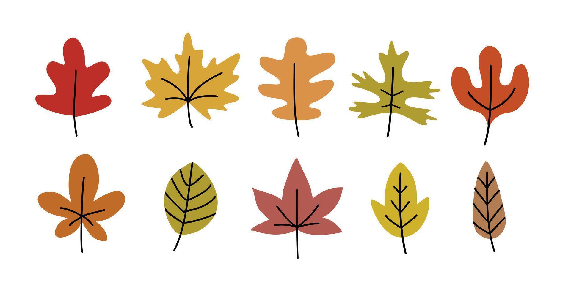 Autumn Leaf in Hand-drawn style set, vector