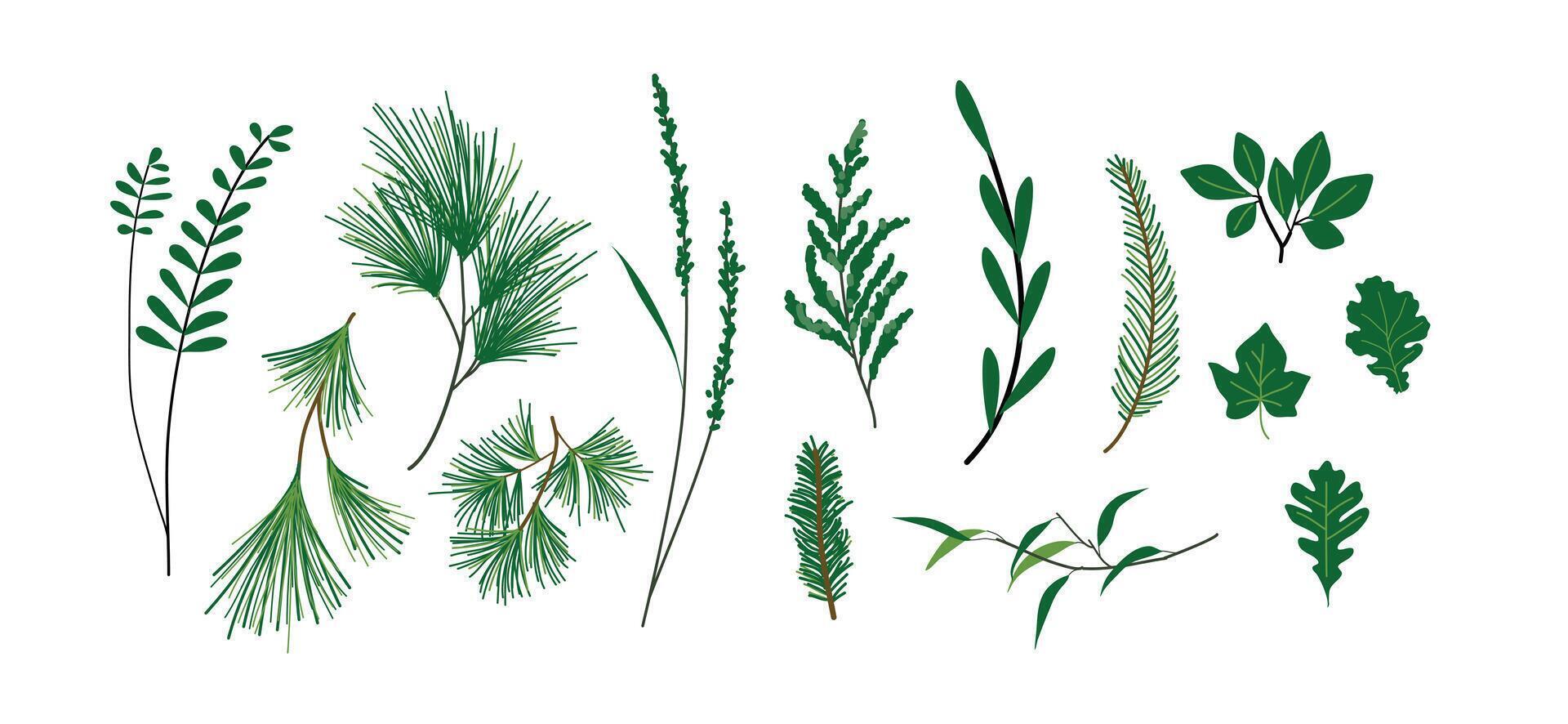 Set of Leaf, elements for design vector