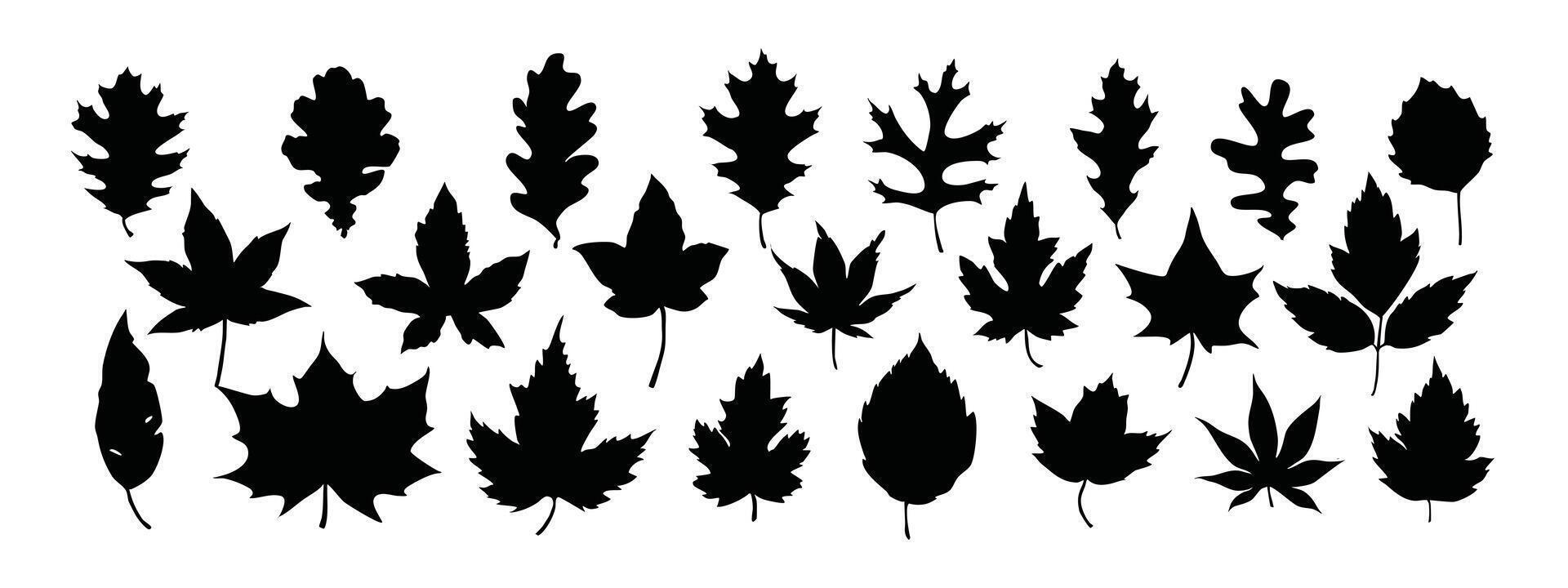 Leaf silhouette set vector