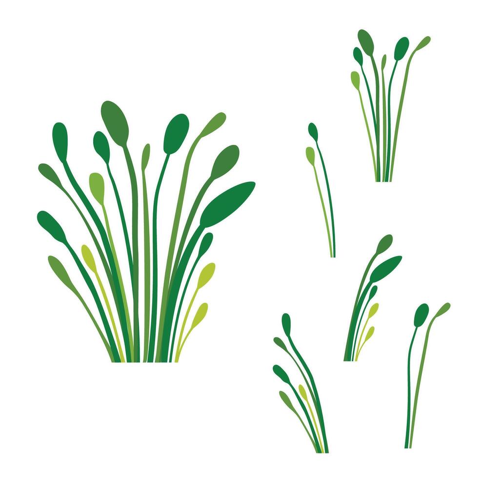 Elements of Green Fresh Tropical Leaves Foliage Grass Botanical Plant in the Park Garden vector
