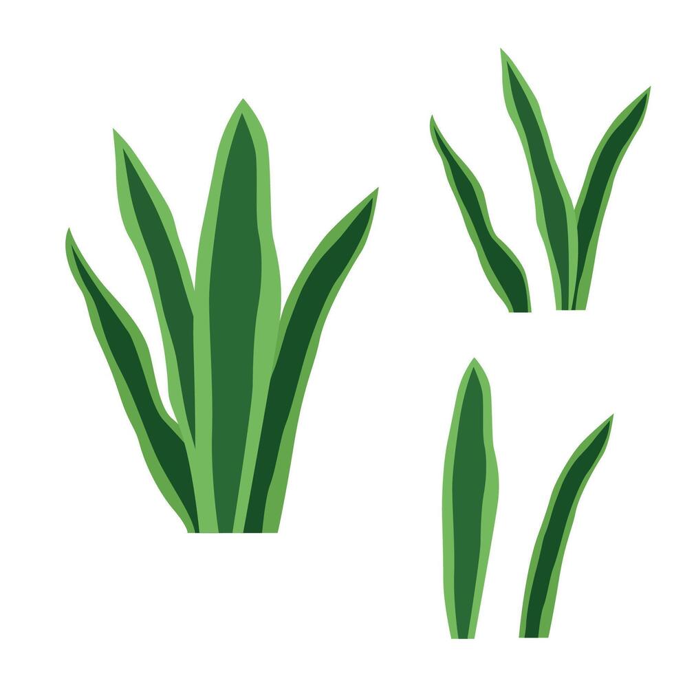 Elements of Green Fresh Tropical Weed Leaves Foliage Grass Plant in the Park Garden vector