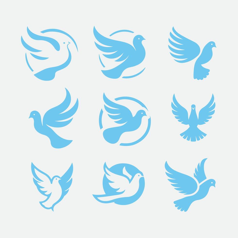 White Feather dove collection logo vector