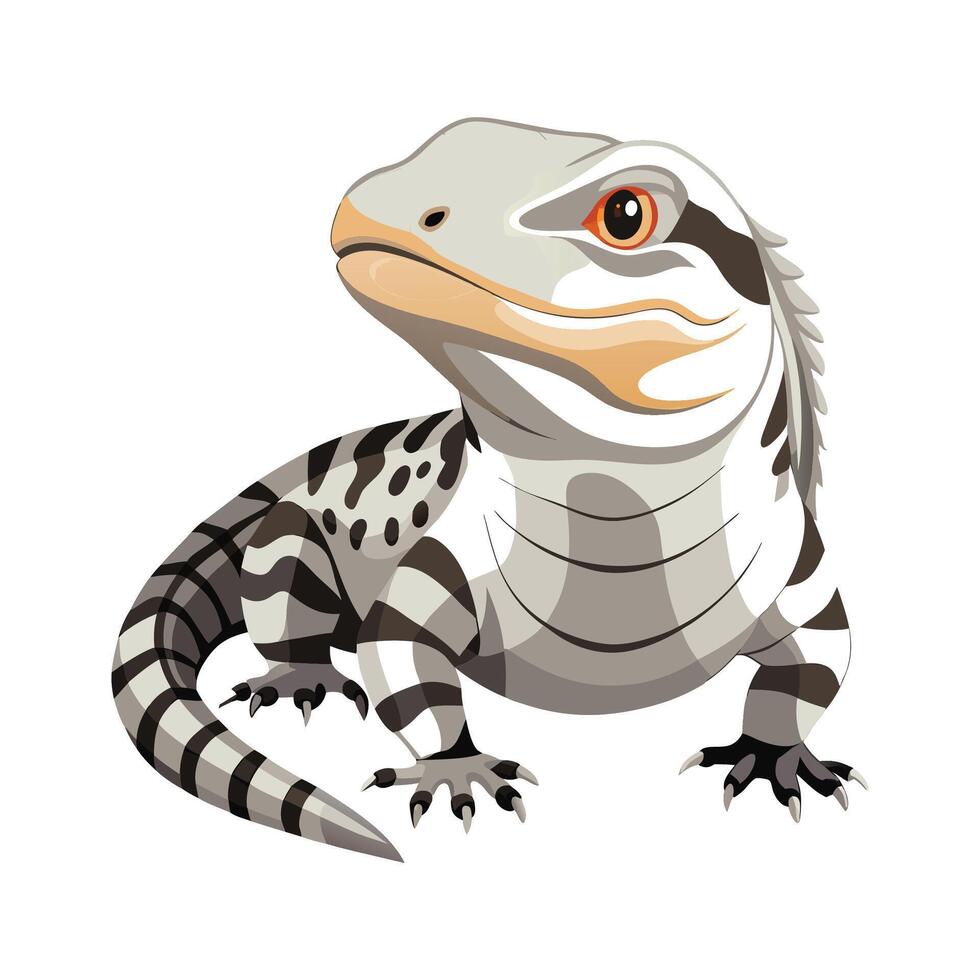 Stylish Illustration of WhiteLipped Tegus vector