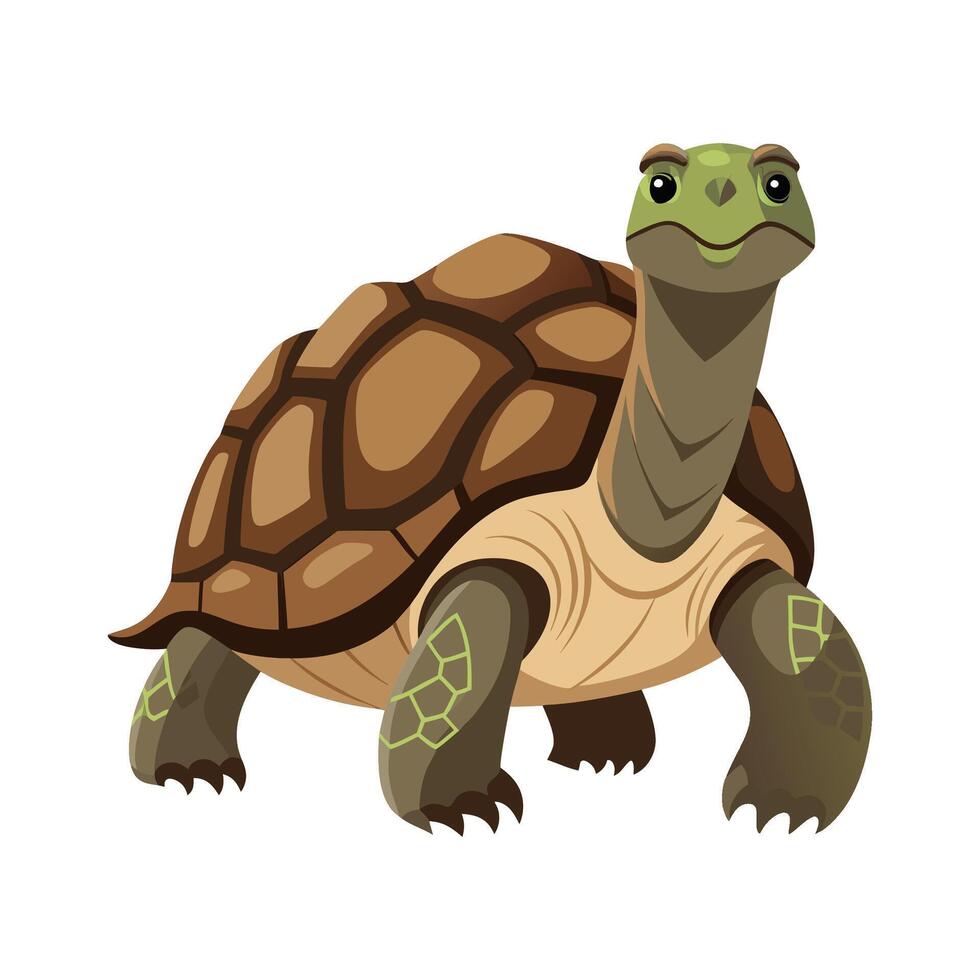Elegant Art of Aldabra Giant Tortoise vector