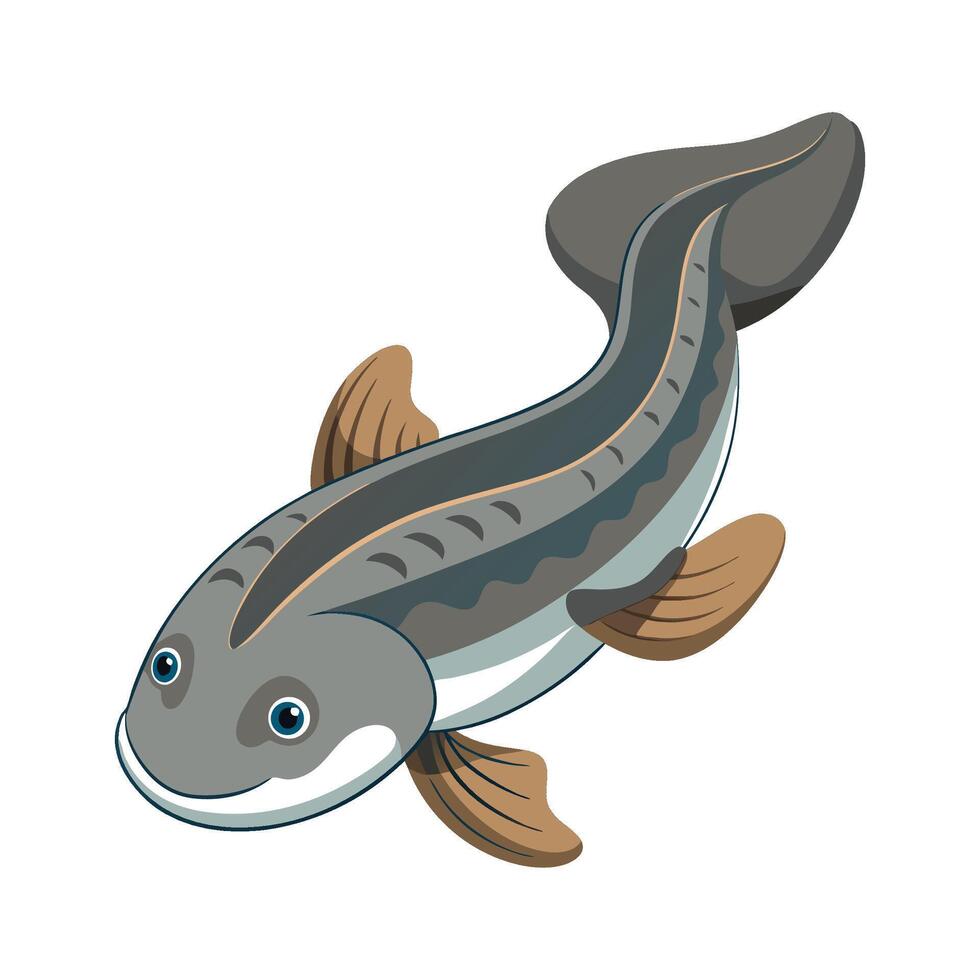 Charming Illustration of Australian Lungfish vector