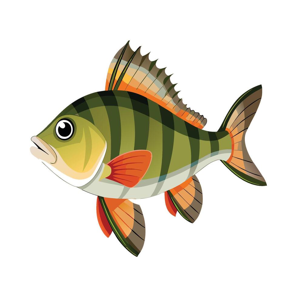 Elegant Artwork of European Perch vector