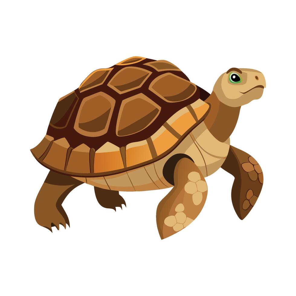 Elegant Artwork of Galapagos Tortoise vector