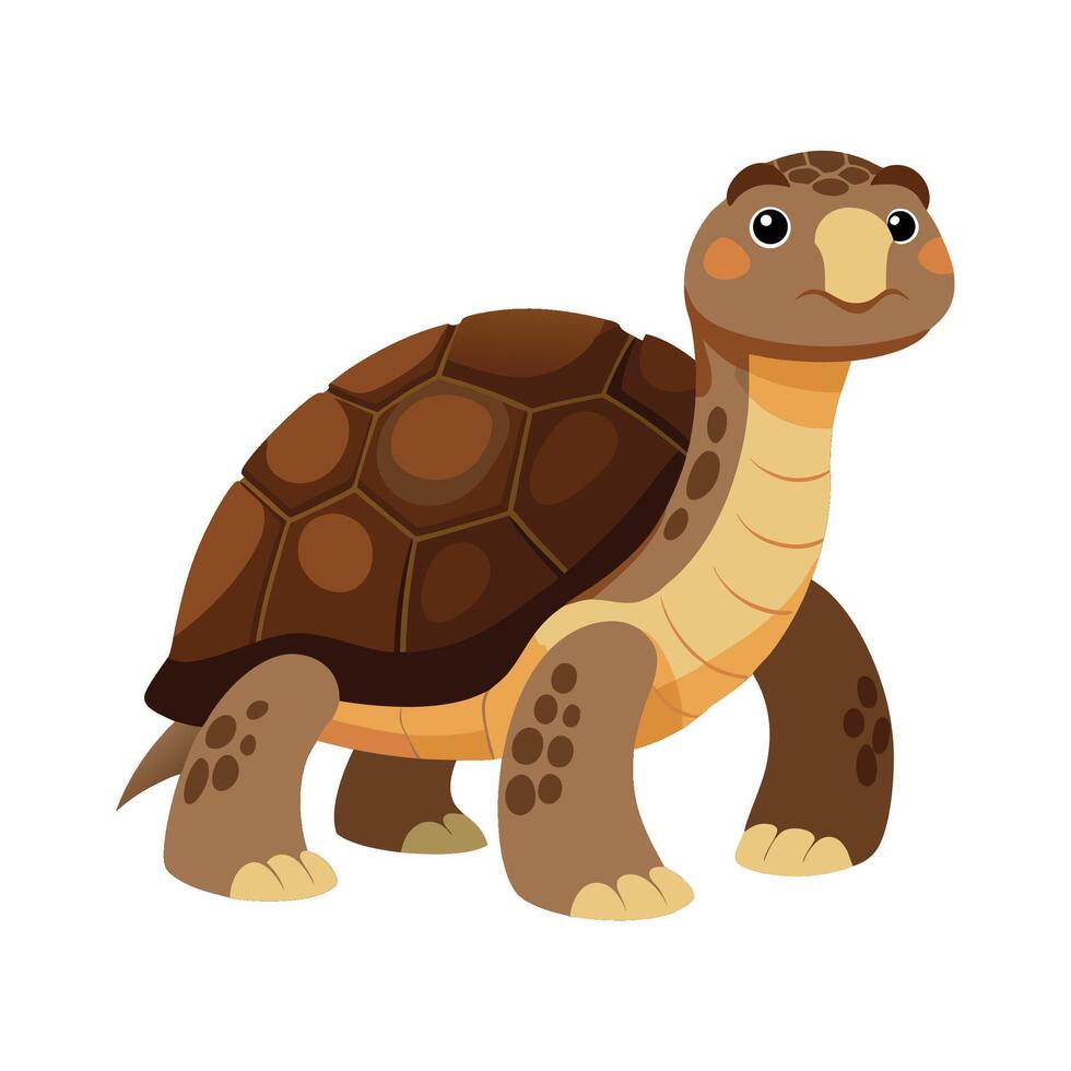 Stylish Illustration of Galapagos Tortoise vector