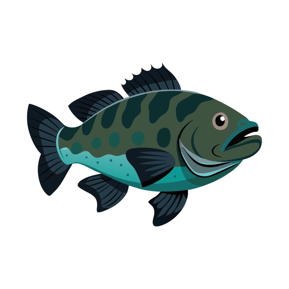 Stylish Illustration of Goliath Grouper vector