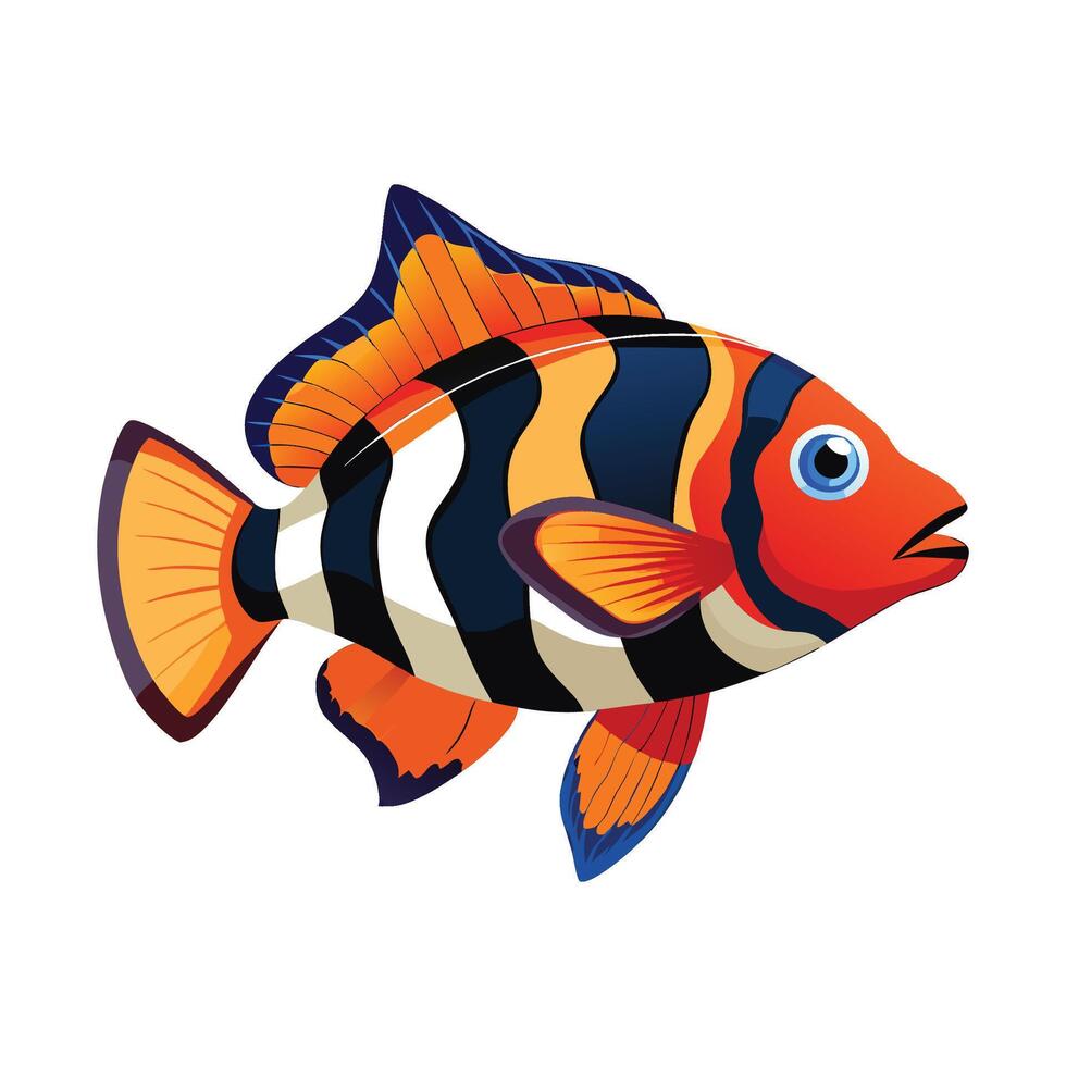 Stylish Illustration of Harlequin Tuskfish vector