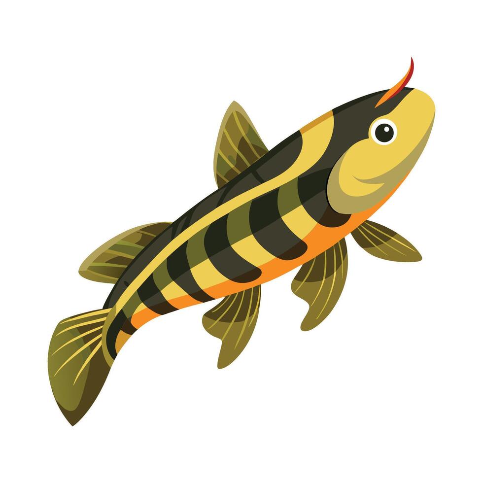 Dynamic Artwork of Hillstream Loach vector