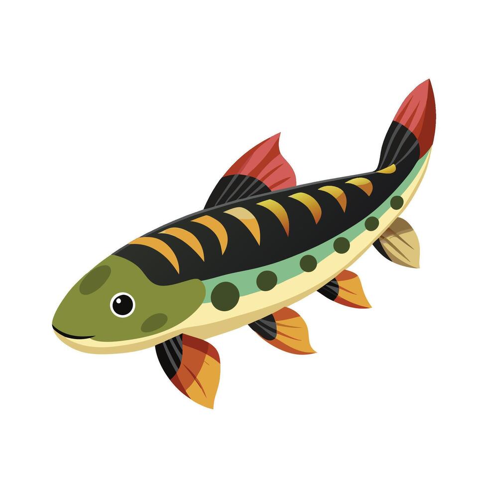 Stylish Illustration of Kuhli Loach vector