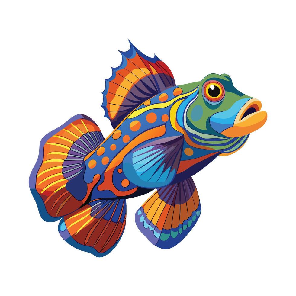 Stylish Illustration of Mandarinfish vector