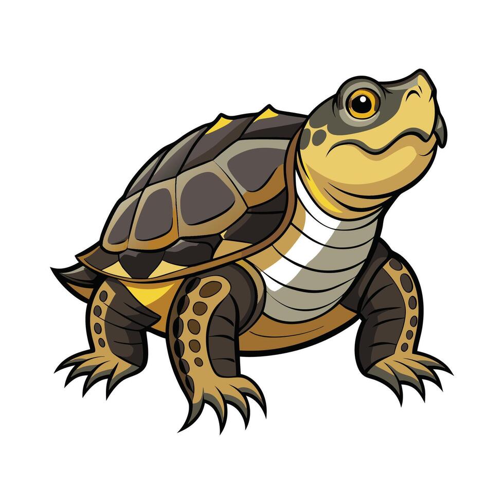 Charming Design of Northern River Terrapin vector