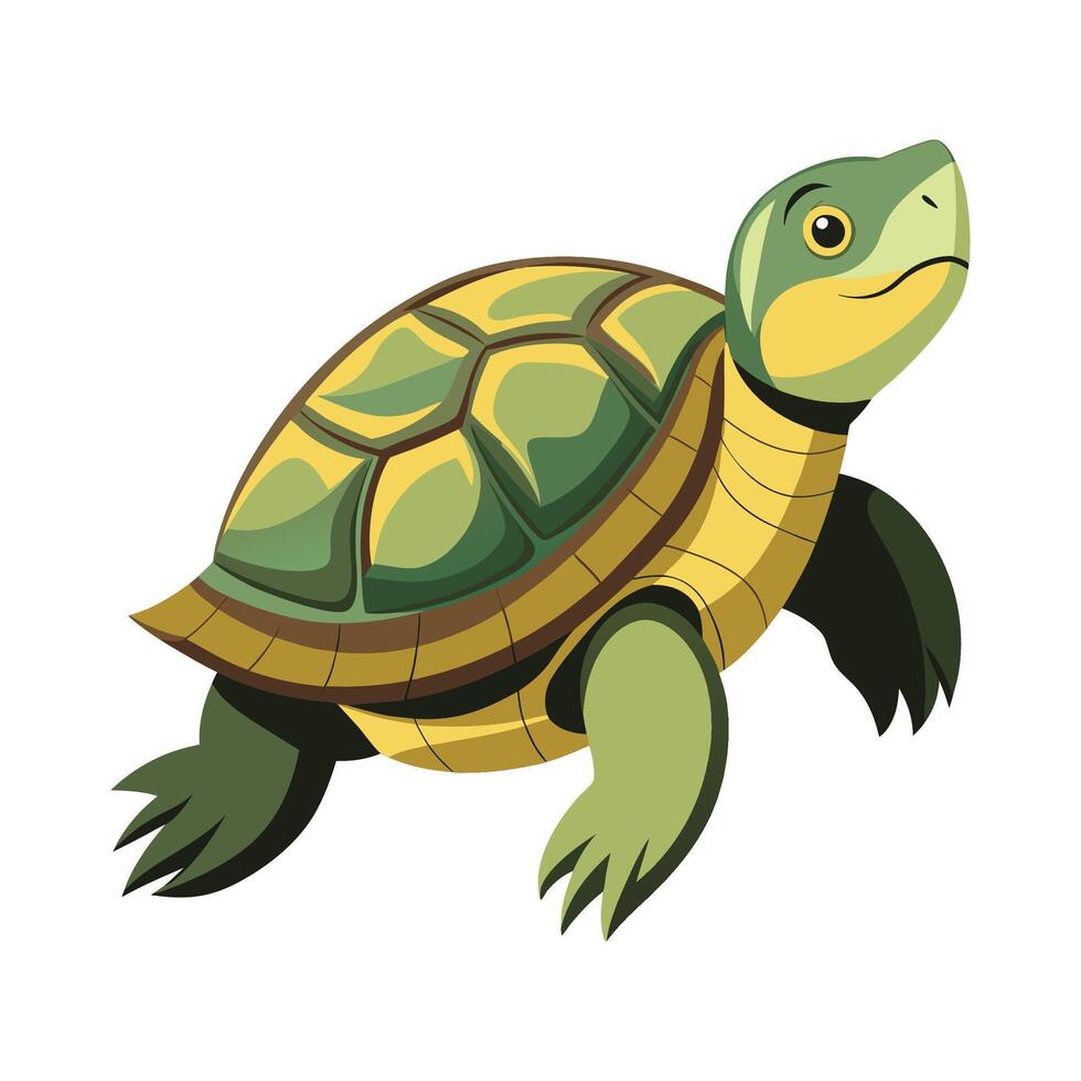 Elegant Artwork of Northern River Terrapin vector