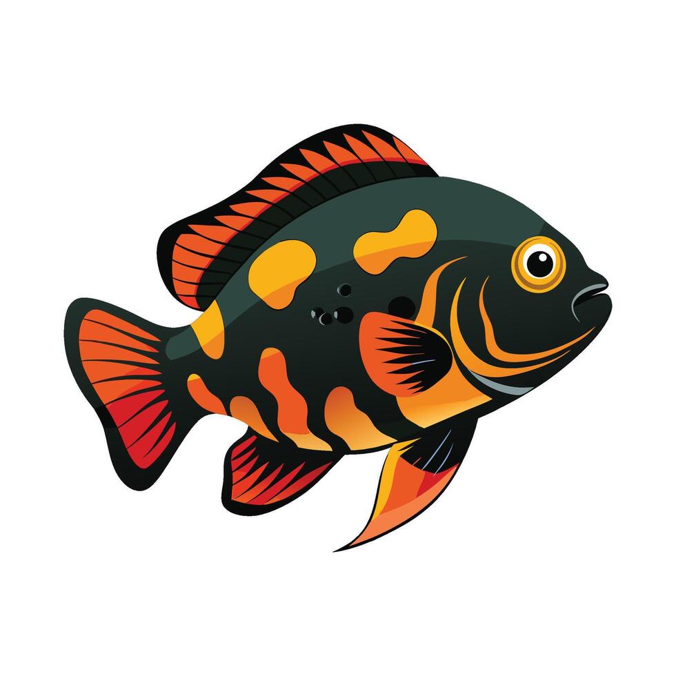 Elegant Artwork of Oscar Fish vector