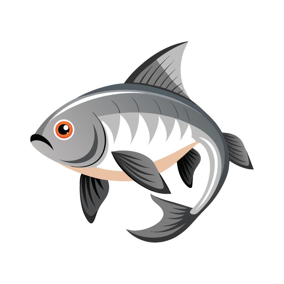 Stylish Illustration of Silver Carp vector