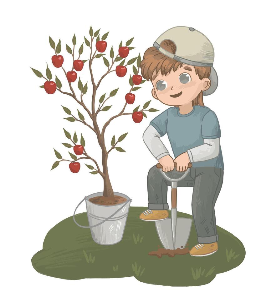 Boy planting apple tree in garden vector