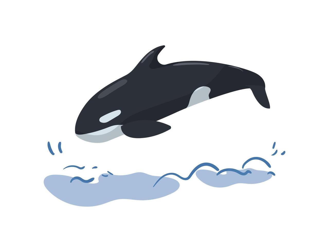 Killer whale jumping out of the water, illustration vector