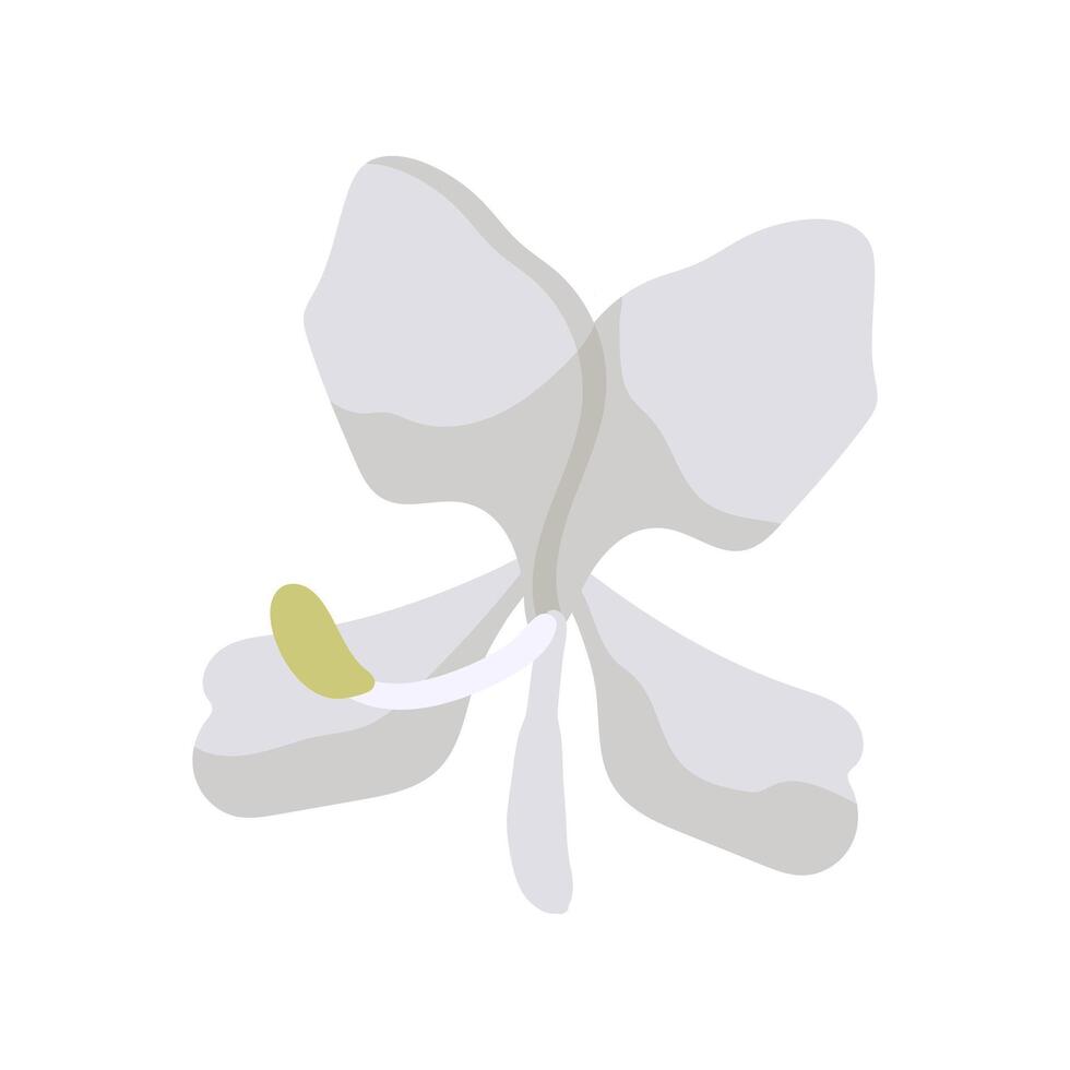 A white flower with a yellow center on a white background vector