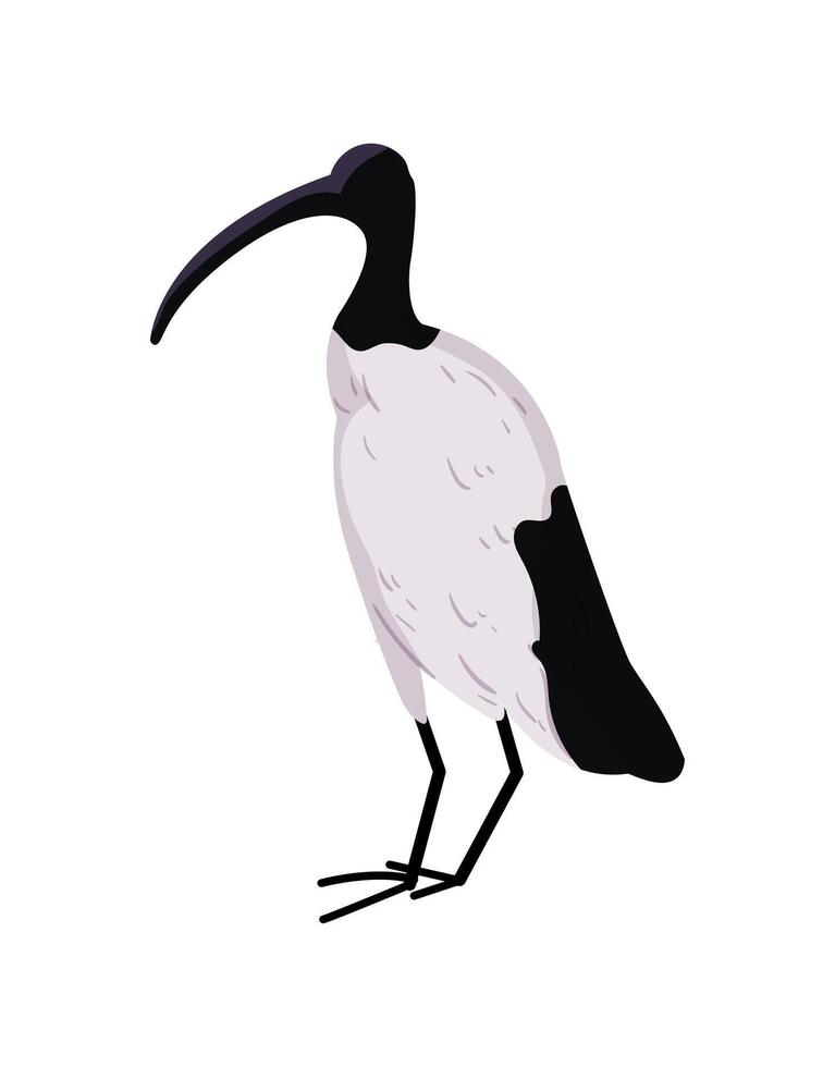 A black and white bird with long legs vector