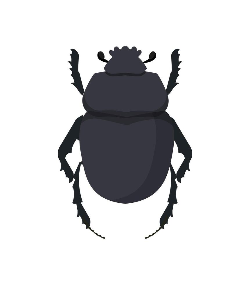 A black beetle on a white background vector