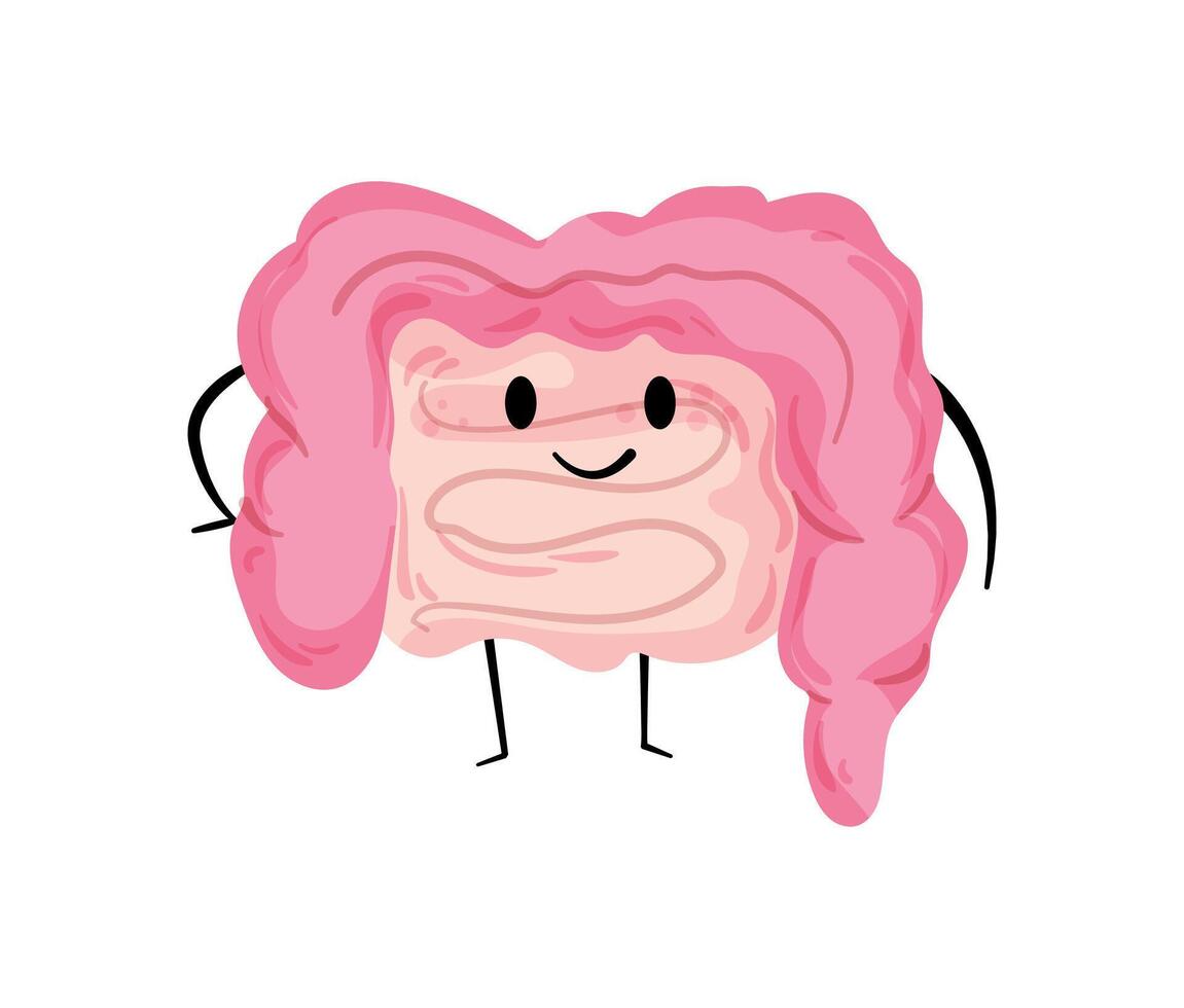 A cartoon character of a human intestine vector