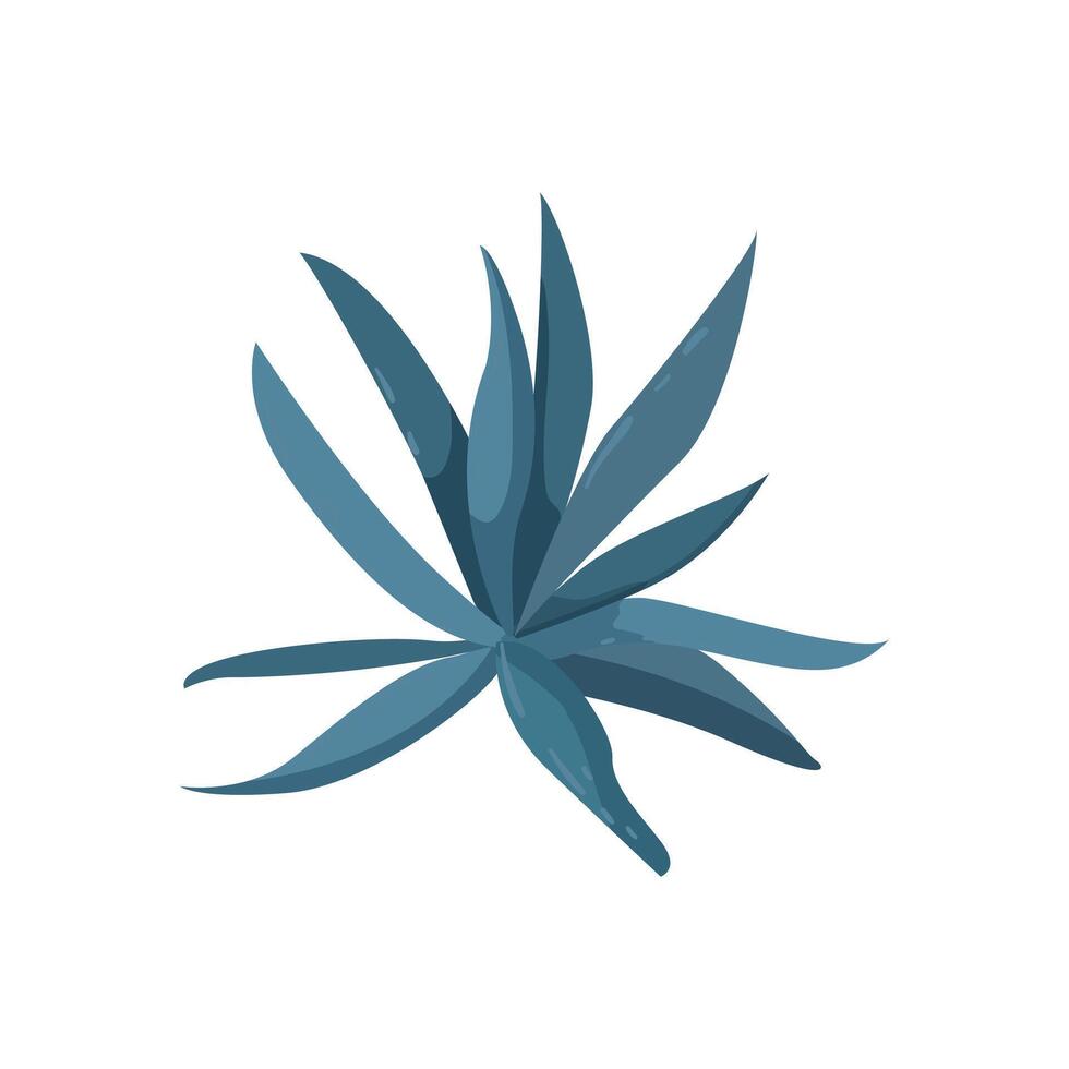 Agave plant illustration isolated on white background vector