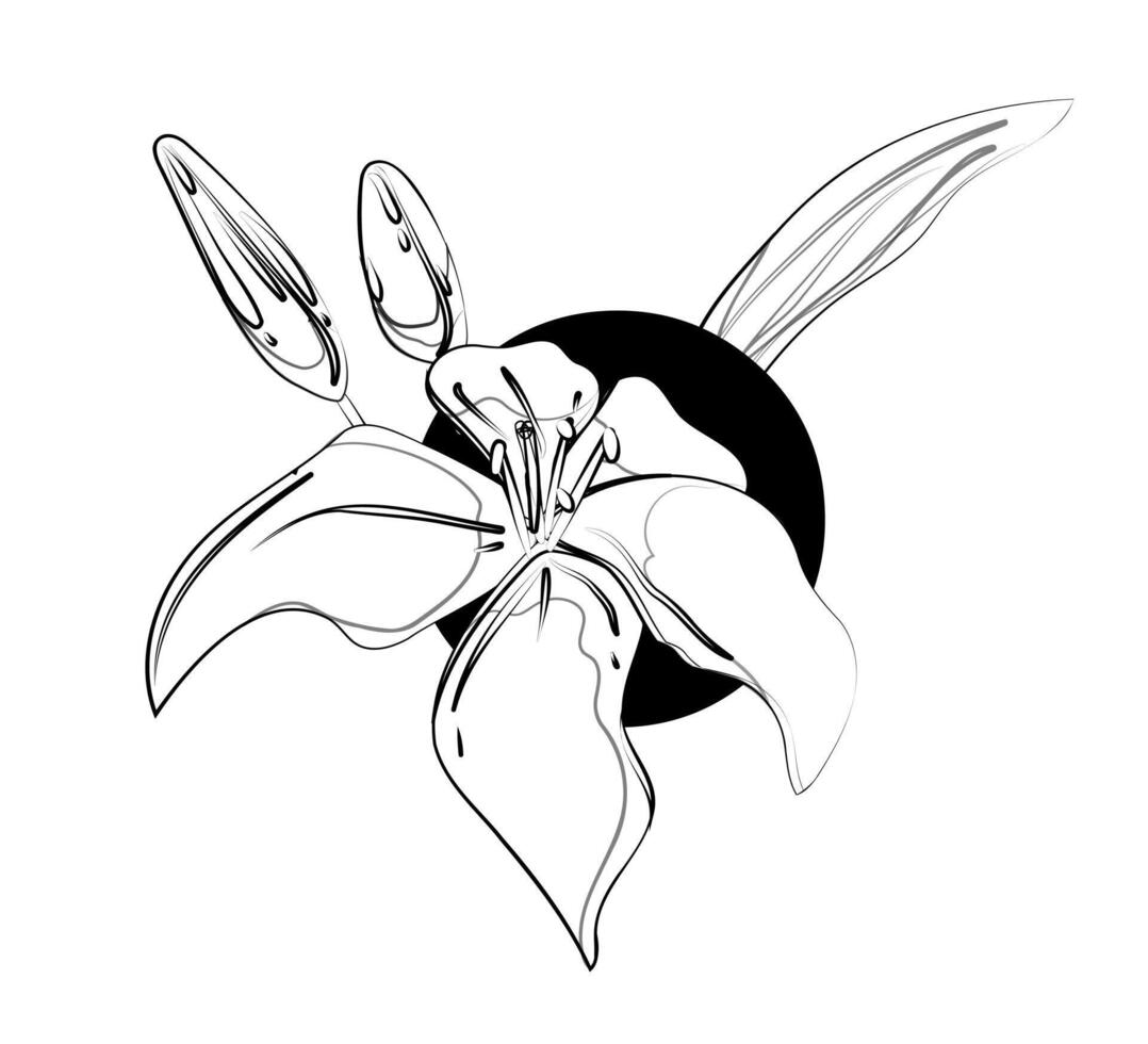 A black and white drawing of a flower vector