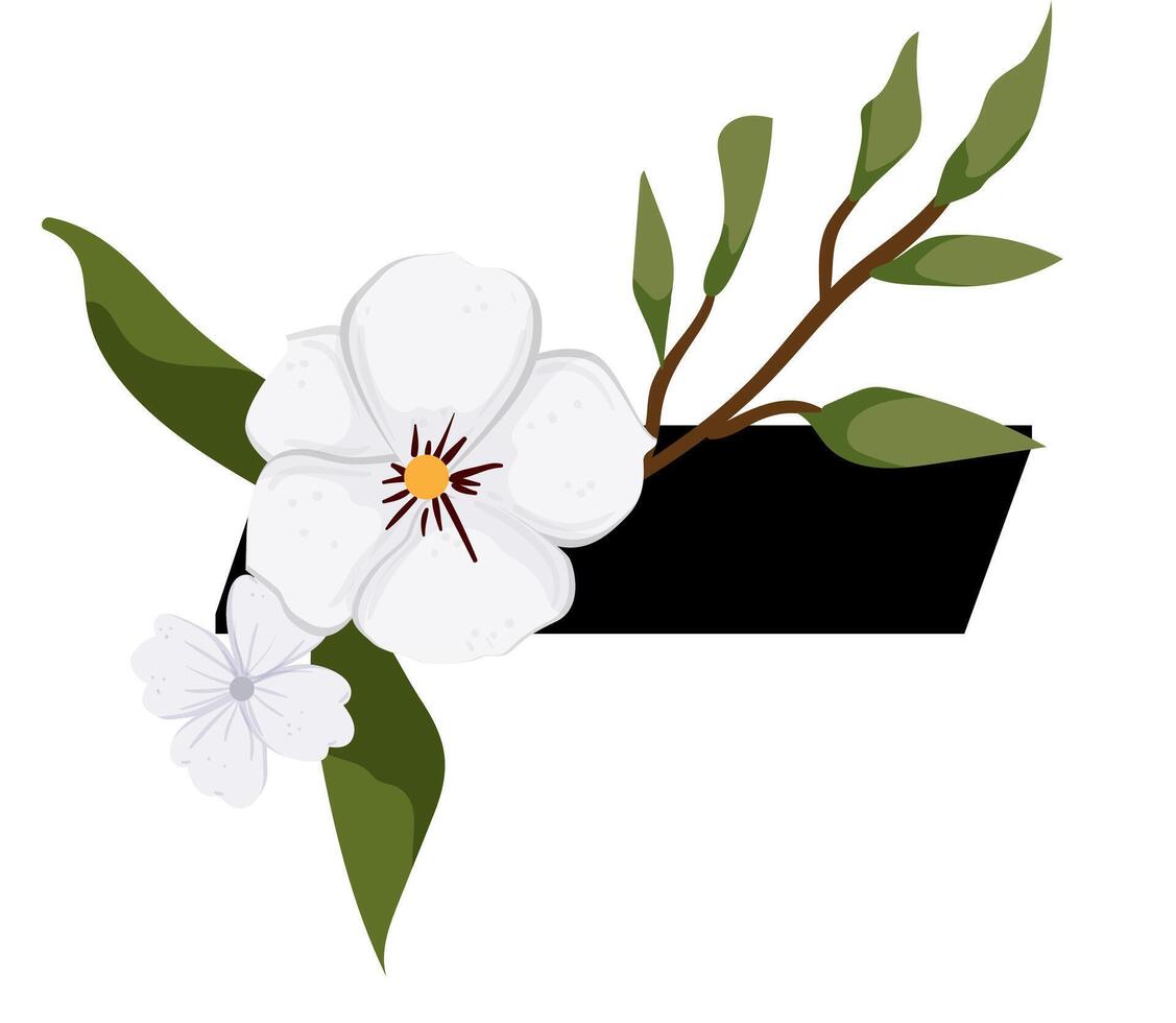 A white flower with leaves and a black letter vector