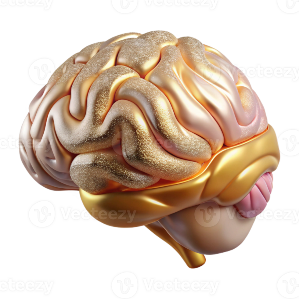 beautiful abstract Human Brain Anatomy Lateral View Transparent Neuroscience Design original png