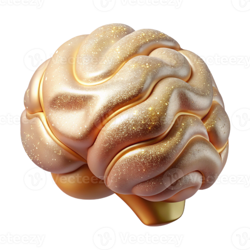 impressive modern Human Brain Anatomy Cutout for Medical Education original png