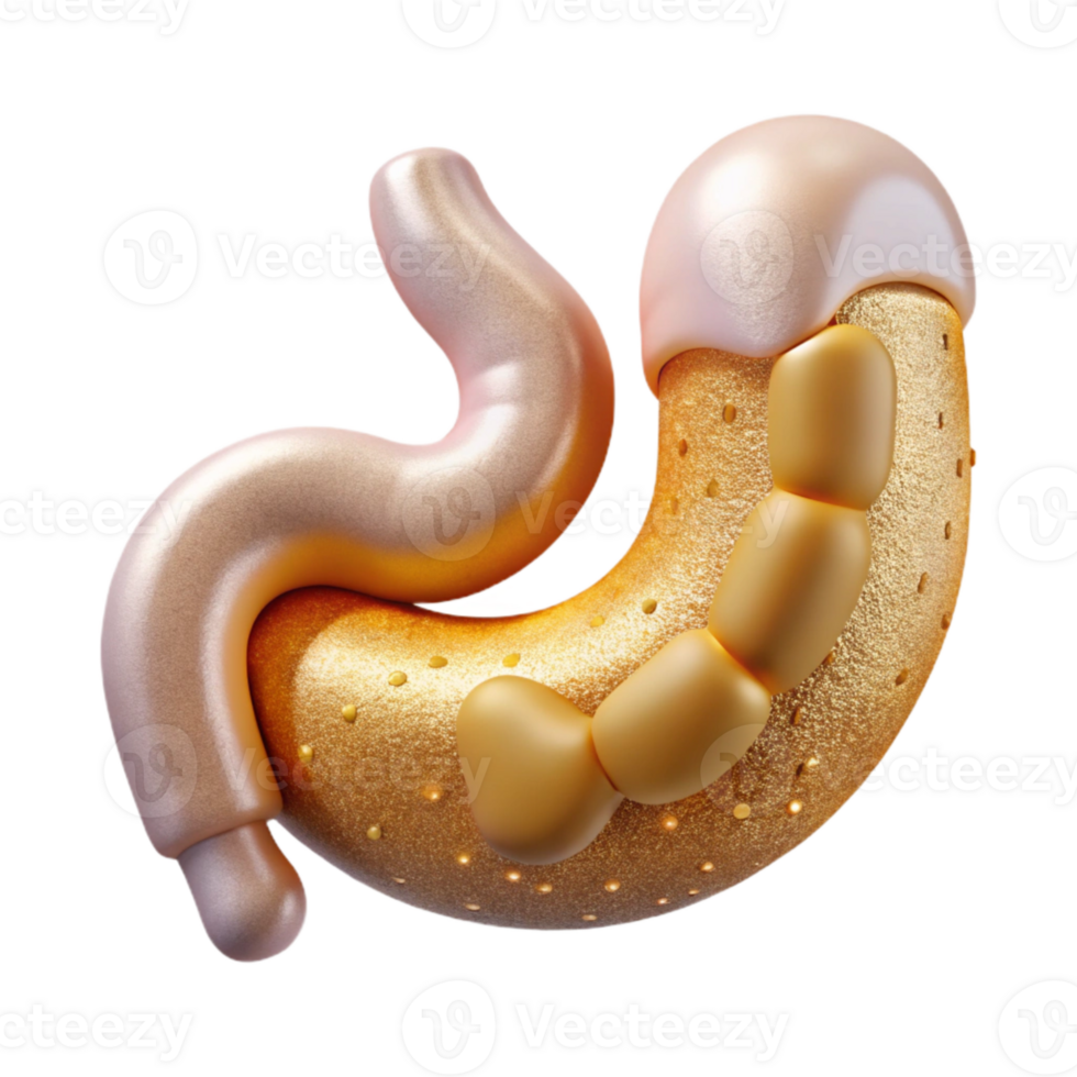 serene abstract Human Digestive System Illustration Cutout Medical Poster detailed png