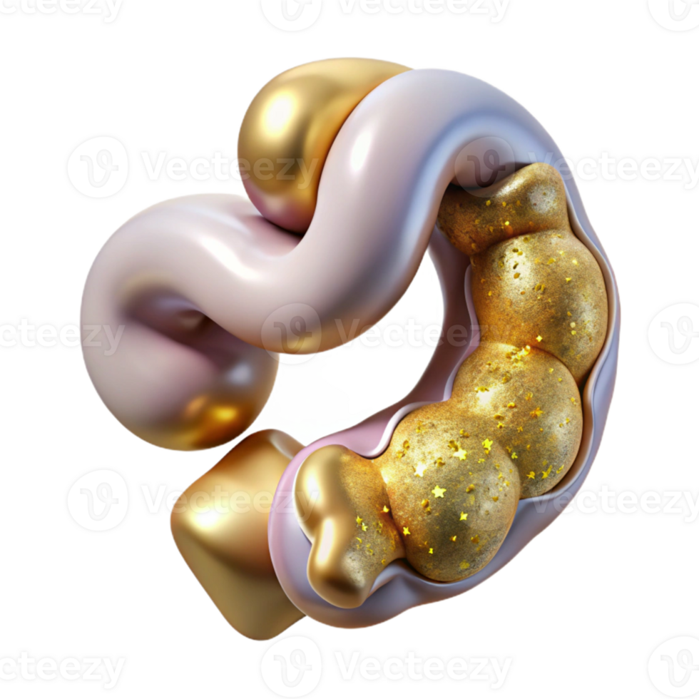 dramatic traditional Human Intestine Anatomy Detailed Cutout Digestive Health exclusive png