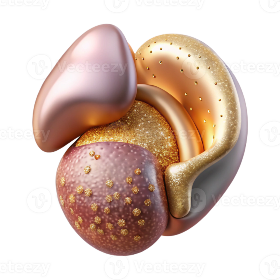 serene minimalist Human Kidney Anatomy Isolated Urology Illustration authentic png