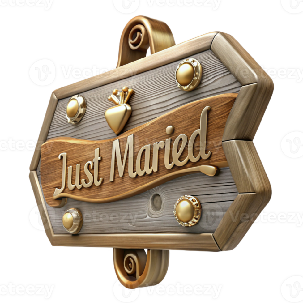 stunning rustic Just Married Sign Rustic Wood Isolated for Photo Booth Props high quality png