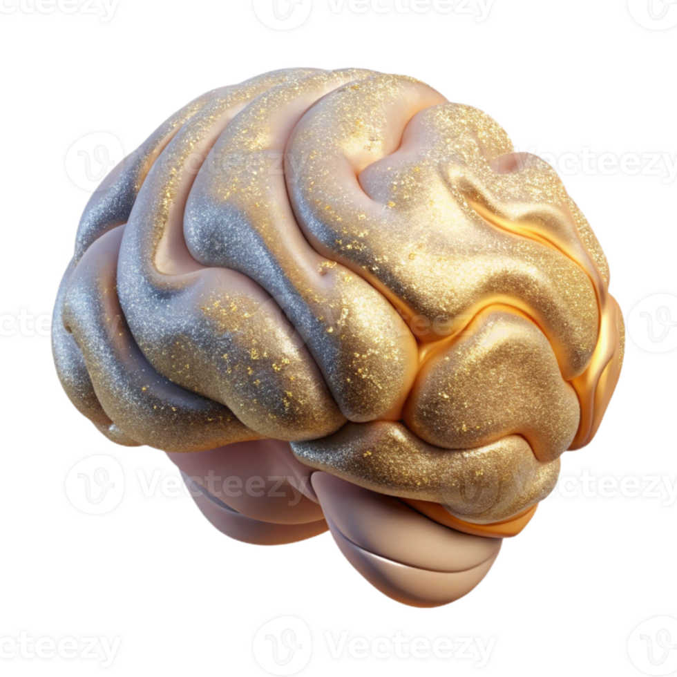 wonderful artistic Mri Scan Brain Image Medical Transparent Diagnostic Test professional png