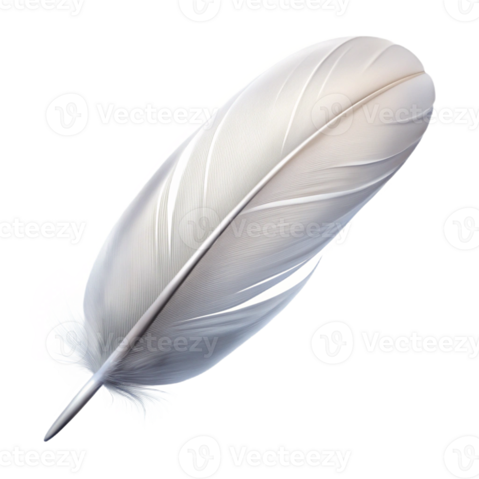 beautiful artistic A single perfect white feather floating in the air, soft lighting, minimalist style authentic png