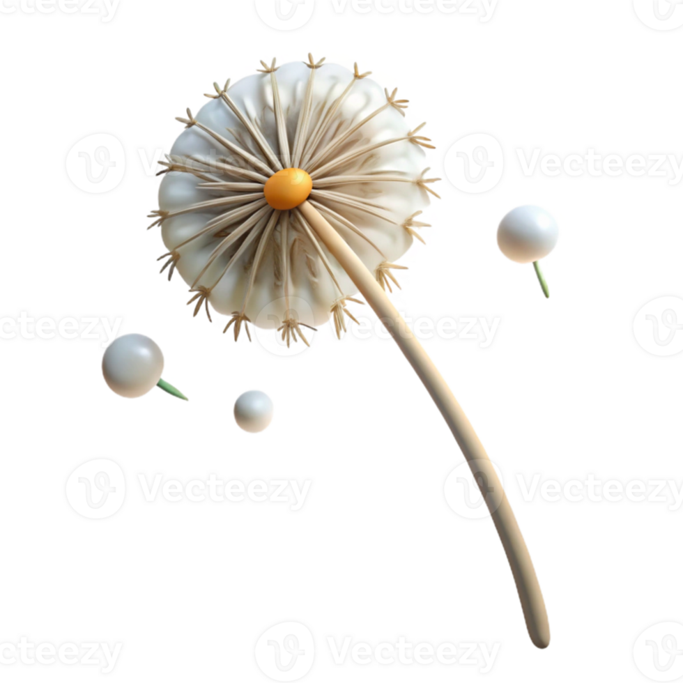 wonderful traditional A lone dandelion seedhead with a few seeds remaining, delicate and fragile, minimalist photography genuine png