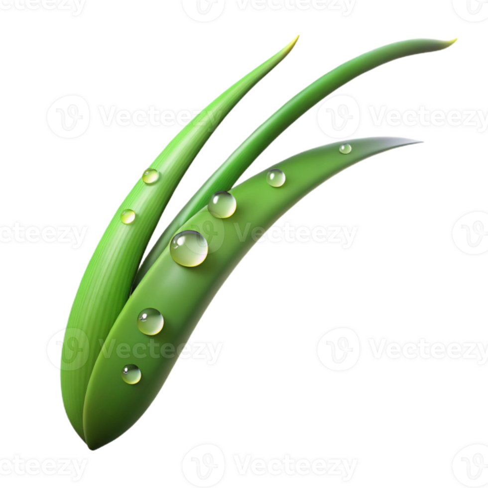 serene rustic A single blade of grass with dew drops, macro photography, morning light genuine png