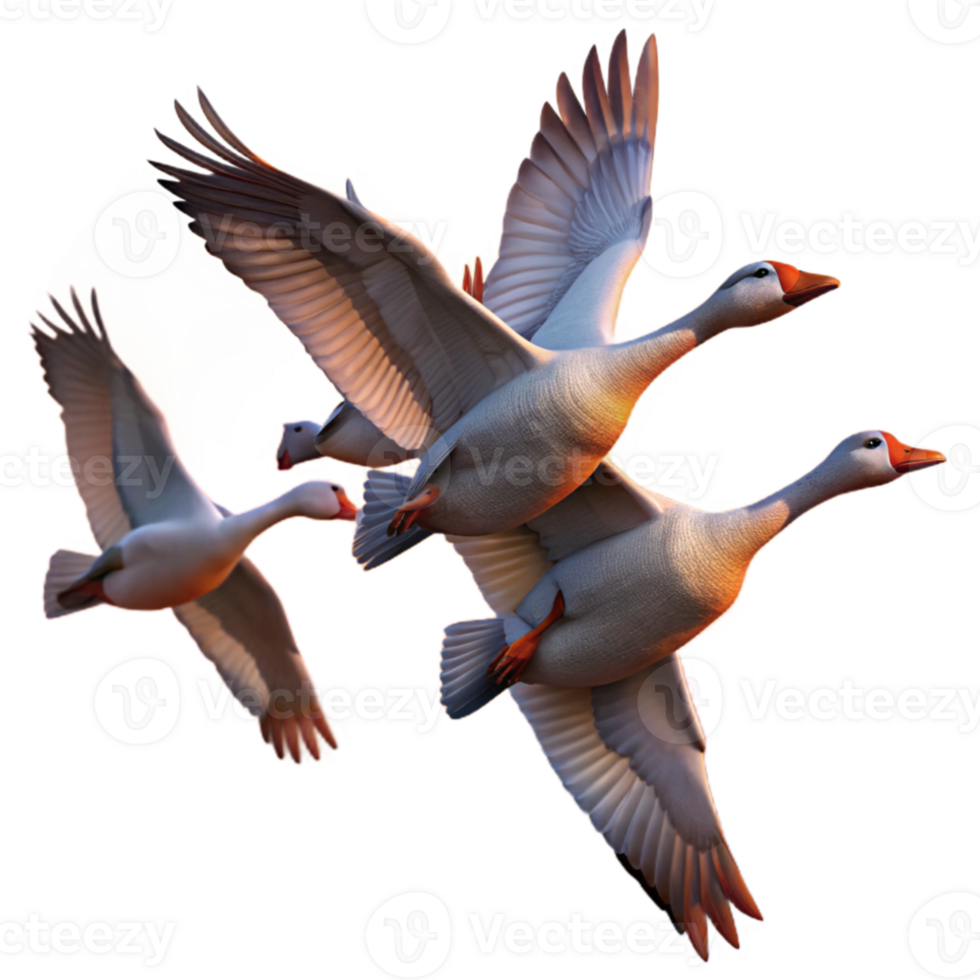 vibrant abstract A flock of migrating geese flying in a V-formation, dramatic sunset lighting, photorealistic style original png
