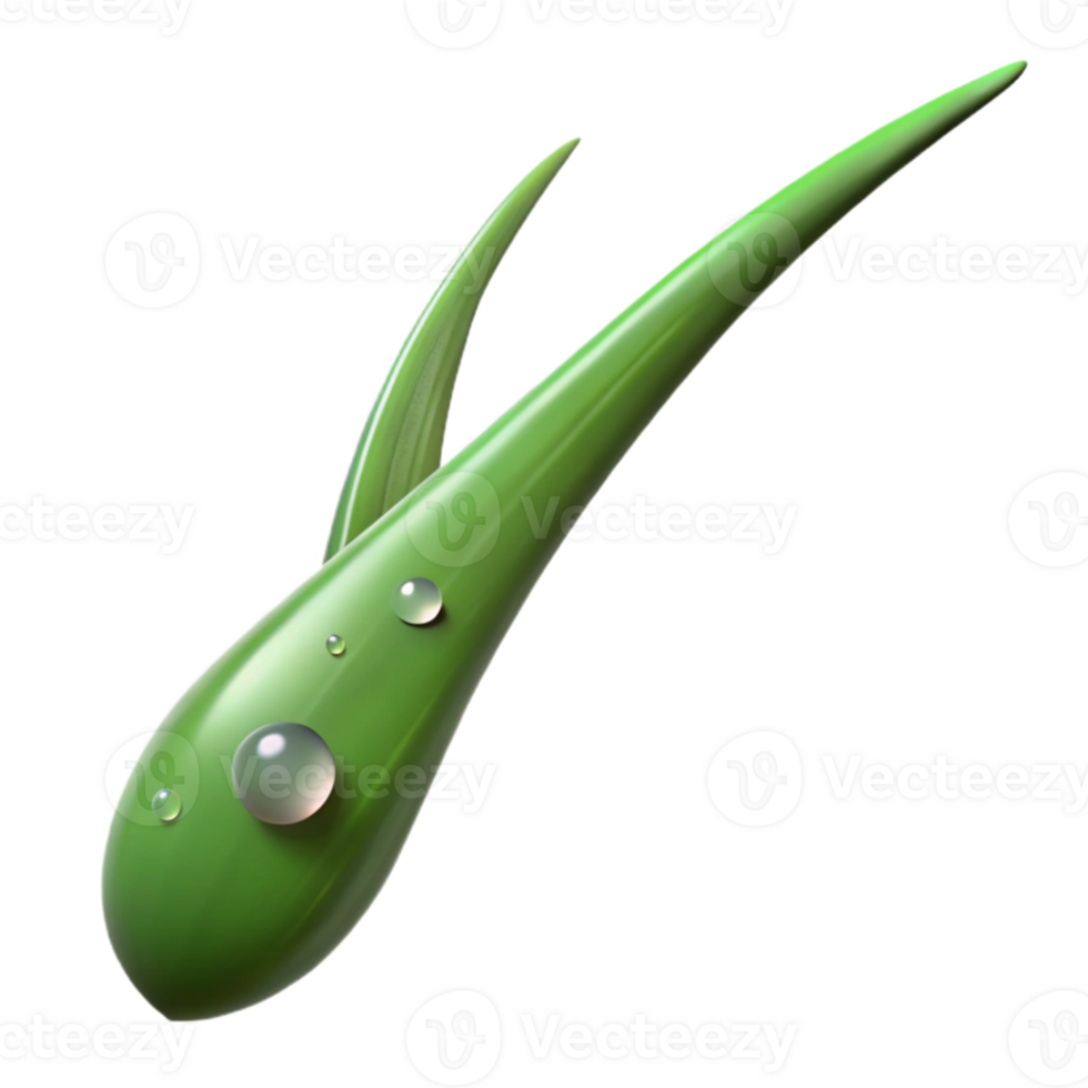 dramatic rustic A single blade of grass with dew drops, macro photography, morning light, realistic style detailed png