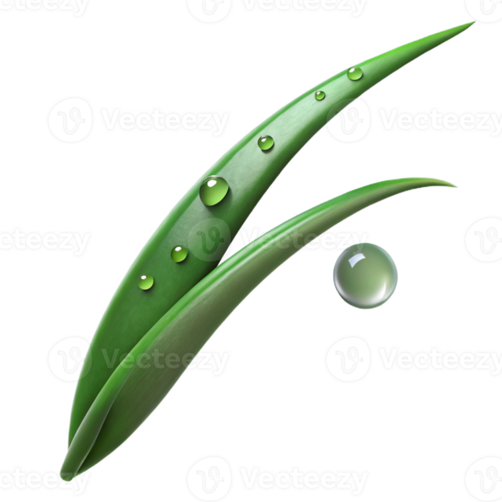 elegant traditional A single blade of grass with dew drops, macro photography, morning light, realistic style high resolution png